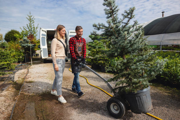 Best Aeration Services  in Vienna, GA